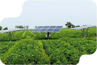 Agricultura e Indústria